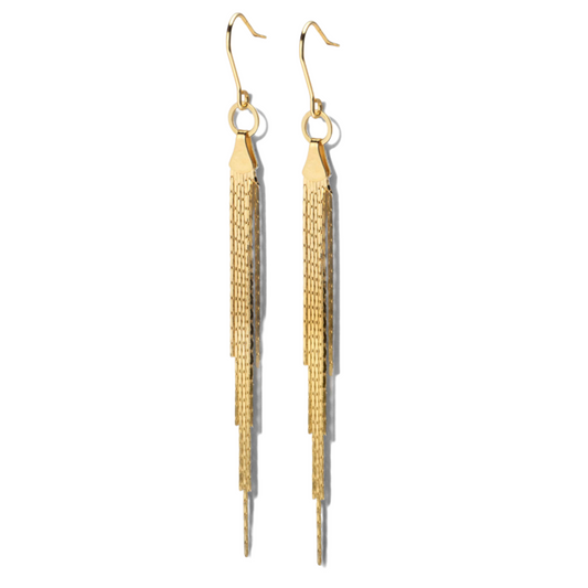 Tassel Fringe Earrings